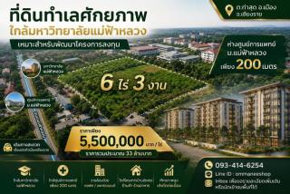 ที่ดินทำเลศักยภาพ ใกล้มหาวิทยาลัยแม่ฟ้าหลวง  ตำบลท่าสุด อำเภอเมือง จังหวัดเชียงราย
