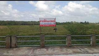 ขายที่ดินเปล่า ใกล้แหล่งรพ. ห้าง และโรงเรียน อำเภอเมืองนครศรีธรรมราช