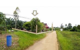 ขายบ้านเดี่ยวชั้นเดียว ถนนสุขาภิบาล15 •วังไผ่ •เมืองชุมพร •ชุมพร