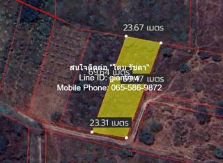   พื้นที่ดิน ที่ดิน หัวหิน จ.ประจวบคีรีขันธ์ area 0 ตรว. 0 Ngan 1 ไร่  2500000 THB   ONE PRICE!
