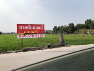 ราคานี้หาแทบไม่ได้แล้ว! ที่ดินใกล้ถนนราชพฤกษ์เพียง 1 กม.