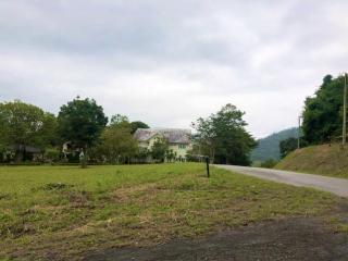 ขายที่ดิน 470 ตรว. แปลงมุม ในสนามกอล์ฟเซอร์เจมส์คันทรีคลับ Forest Hill มวกเหล็ก สระบุรี