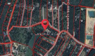 ขายที่ดิน พร้อมสวนทุเรียน มังคุด จังหวัดระยอง 5 ไร่ 1 งาน 31 ตร.ว. ใกล้เมืองระยอง ใกล้ทะเลเพียง 10 นาที 