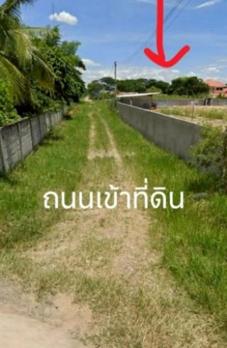 โซนท่าวังตาล #สารภี ขาย 5.4 ล้าน เนื้อที่ 1 ไร่ ที่ดินทำเลทอง ใกล้เมือง #ใกล้สนามบิน เดินทางสะดวก เหมาะสร้างบ้านหรือเก็งกำไร