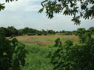 ขายที่ดิน ใกล้ร่มเกล้า 7 ติดถนนร่มเกล้า ขนาดพื้นที่ 56 ไร่กว่า ติดถนนใหญ่