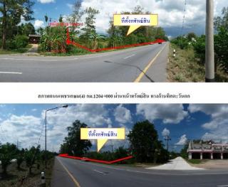 ขายที่ดินว่างป่าว ถนนเพชรเกษม(4) •ป่าบอน •ป่าบอน •พัทลุง