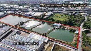 ขายที่ดิน 25 ไร่ ผังสีส้ม บางวัว บางประกง จ.ฉะเชิงเทรา