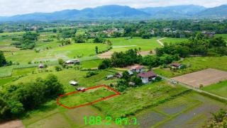 ที่ดิน ปัว น่าน พื้นที่ 188.2 ตร.ว.  (480,000) เอกสารสิทธิ์โฉนดครุฑแดง (นส.4จ) 