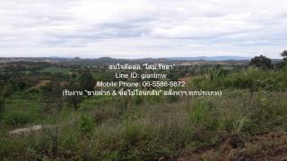 DSL-1246 ขาย ที่ดิน ขายที่ดินบนเนินเขา 10-1-5 ไร่ (ใบอ่อน: ส.ป.ก./สร.5 ก.) วังน้ำเขียว นครราชสีมา ราคา 4,500,000 บาท (โอนฟรี) 10 ไร่ 1 งาน 4105 ตารางวา ใกล้กับ โรงเรียนบ้านซับไทรทอ