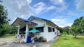 ขายด่วน ที่ดิน พร้อมบ้านเดี่ยว ชั้นเดียว 2-3-97 ไร่ วังกระโจม - นครนายก