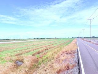 ขายที่ดินเปล่า ขนาดใหญ่  ราคาดี ทำเลบางเลน จ.นครปฐม