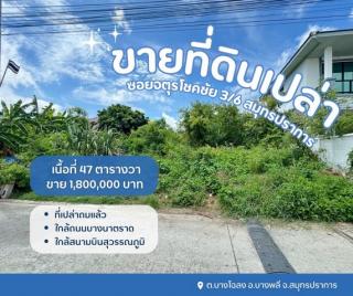 ที่ดินบางพลี ที่เปล่าสมุทรปราการ ที่ดินเปล่าจตุรโชคชัย3/6