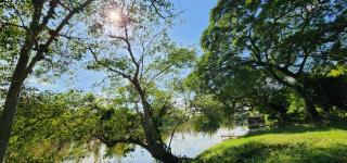 ขายที่ดินติดแม่น้ำแควน้อยเมืองกาญจนบุรี 4 ไร่ บรรยากาศ วิวดีมาก น้ำใส ลมเย็น เหมาะสร้างบ้านพักตากอากาศ ทำการเกษตร ทำรีสอร์ท
