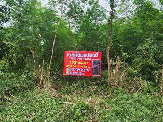 พื้นที่ดิน -  1000000 THB ไม่ไกลจาก ตลาดไท วัดธรรมกาย ร้านพี่ยาคนรุม ทำเลสวย