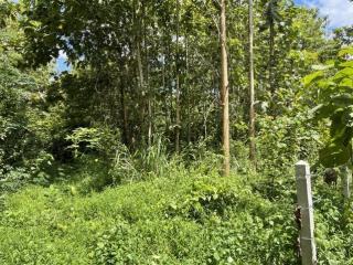 DSL-133 ขาย ที่ดิน ที่ดิน เชียงคาน จ.เลย ใกล้กับ ห่างถนนคนเดินเชียงคาน 1 กม. 19 ไร่ 1 งาน 7774 ตารางวา 35080500 บาท