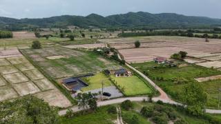 ขายบ้านสวนพร้อมที่ดิน 12 ไร่เศษ อเมืองเชียงราย ตห้วยสัก เหมาะทำคาเฟ่และฟาร์มสเตย์ เดินระบบไฟใต้ดินเรียบร้อย