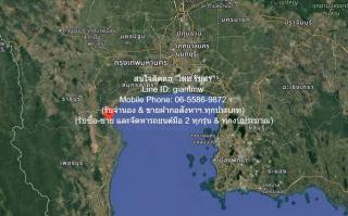 DSL-1164 ขาย ที่ดิน ที่ดินติดป่าชายเลน (ติดทางหลวง & ติดทะเลอ่าวไทย) 5-2-22 ไร่ (2,222 ตร.ว.) บ้านแหลม จ.เพชรบุรี เพชรบุรี    บ้านแหลม    ใกล้กับ ติดทะเลบ้านแหลม จ.เพชรบุรี 5 ไร่ 2