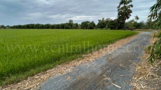ลดพิเศษ ที่ดิน 9-3-99.5 ไร่ ดอนโพธิ์ - สุพรรณบุรี มีผู้เช่า ทำเลดี