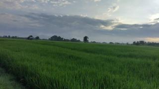ขายที่ดินราคาถูกอำเภอเนินมะปราง จังหวัดพิษณุโลก เนื้อที่ 10 ไร่
