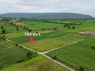 1 ขาย ที่ดิน ถูกสุด ที่วิวเขา ติดถนนคอนกรีต1แสนบาท 100ตรว. วังเพลิน โคกสำโรง ลพบุรี T .086-301-6161 100000 บาท ลพบุรี    100 ตร.วา