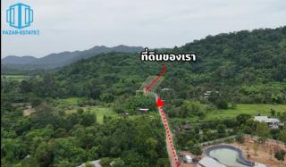 PZ1481–ขาย ที่ดิน พร้อมบ้าน 4 หลัง ติดเขา และสวนผลไม้ 1 ไร่ 3 งาน 38 ตรว. + ภ.บ.ท. 3 ไร่ ตำบลเขาพระ อำเภอเมืองนครนายก  จังหวัดนครนายก