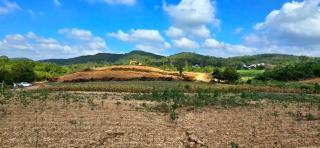พื้นที่ดิน - สภาพเยี่ยม นครราชสีมา   