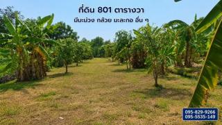 ขายที่ดินถมแล้ว  2-0-01ไร่ โครงการ Wellness City (เวลเนสซิตี้) เพื่อการพักวัยเกษียณ ใกล้ถนนปทุมธานี-สามโคก-เสนา (ทล.3111)อ.บางไทร จ.อยุธยา