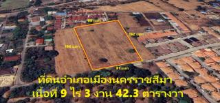 ขายที่ดินโคราช ใกล้วิทยาลัยบริหารธุรกิจ 9 ไร่ 3 งาน 42.7 ตารางวา