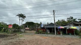 ขายที่ดินพร้อมบ้านและโฮมสเตย์ ติดถนนสายเชียงราย-เชียงใหม่ อำเภอแม่สรวย จังหวัดเชียงราย เนื้อที่ 2 ไร่ 2 งาน