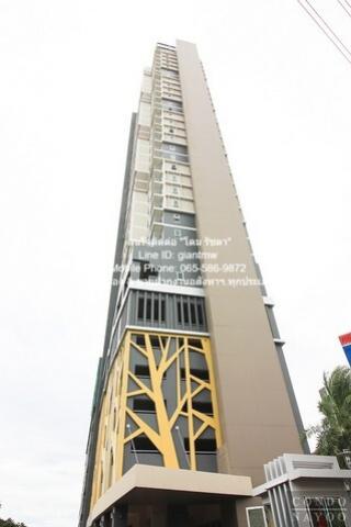 ให้เช่า RENT CONDOMINIUM Rich Park @ Chaophraya ริชพาร์ค @ เจ้าพระยา 1นอน พื้นที่ 32 sq.m. 10000 - ใกล้ MRT ไทรม้า ดีลดีสุด ณ จุดนี้