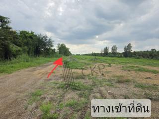 ขาย ที่ดินเปล่า ขนาด 2 ไร่ 259 ตร.วา เหมาะสำหรับทำการเกษตร ปลูกบ้านพักอาศัย โกดังจัดสรร | 93359