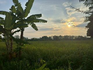 ขายที่ดินสวย บ้านร้องขี้เหล็ก ติดถนน ติดน้ำไหลตลอดปี ทำเลศักยภาพสูง (วงแหวนรอบ 4 ตัดผ่านที่ดิน)