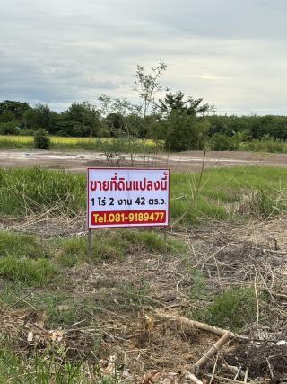 ขายที่ดินถมแล้ว เจ้าของขายเอง  ทำเลดีติดถนนซอย 2 ฝั่ง พระนครศรีอยุธยา 