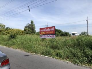 ที่ดินคลอง 11 หน้ากว้างถึง 130 เมตร ติดถนน 2 ด้าน ถมแล้ว พร้อมพัฒนาได้ทันที โอกาสสำหรับนักลงทุน ผู้พัฒนาอสังหาริมทรัพย์ และเจ้าของกิจการ
