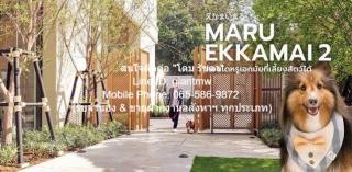 ต้องการให้เช่า CONDOMINIUM มารุ เอกมัย 2 Maru EKKAMAI 2 55 ตาราง.เมตร  ใกล้ BTS เอกมัย ราคางาม