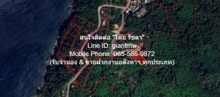 พื้นที่ดิน ที่ดิน ใกล้หาดกมลา อ.กะทู้ จ.ภูเก็ต 0 ตาราง.วา 0 Ngan 2 ไร่  34000000 บาท ราคาเดียว ภูเก็ต   