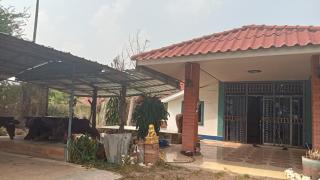 ขายที่ดินพร้อมบ้าน 1 หลัง เจ้าของขายเอง อำเภอกบินทร์บุรี จังหวัดปราจีนบุรี